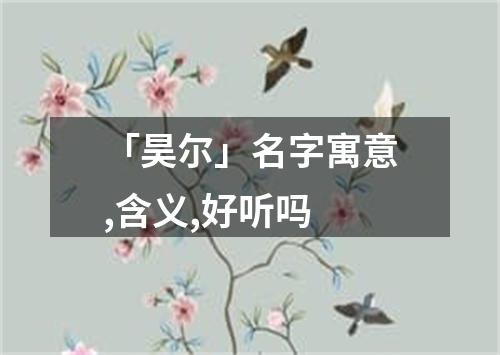 「昊尔」名字寓意,含义,好听吗