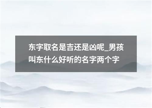 东字取名是吉还是凶呢_男孩叫东什么好听的名字两个字