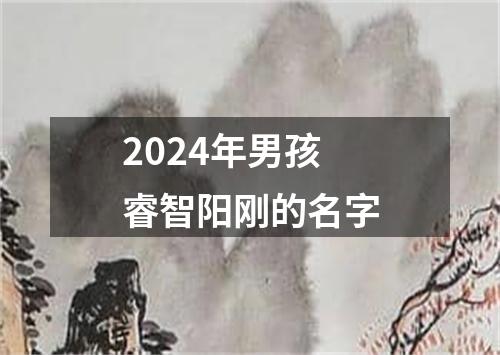 2024年男孩睿智阳刚的名字