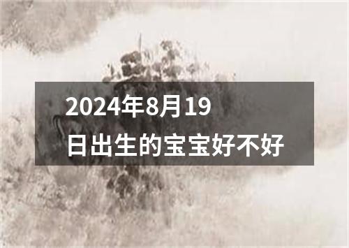 2024年8月19日出生的宝宝好不好