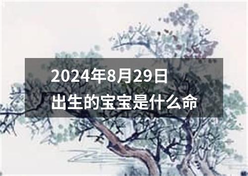 2024年8月29日出生的宝宝是什么命