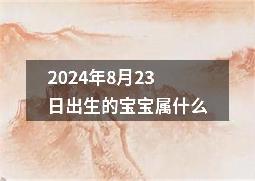 2024年8月23日出生的宝宝属什么