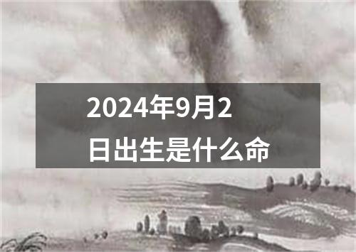 2024年9月2日出生是什么命