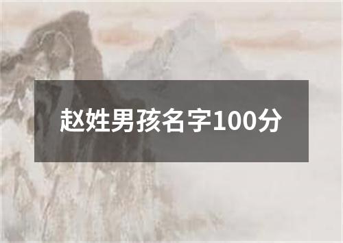 赵姓男孩名字100分