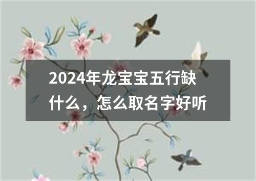 2024年龙宝宝五行缺什么，怎么取名字好听