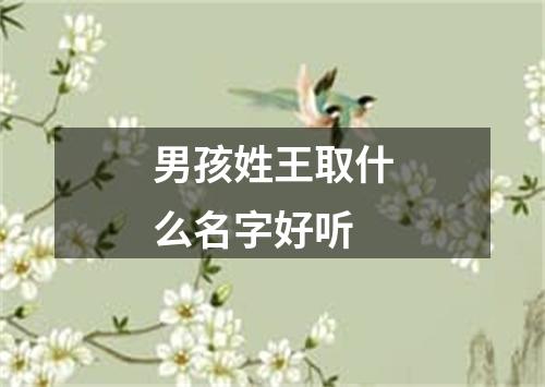 男孩姓王取什么名字好听