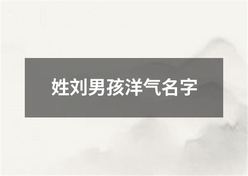 姓刘男孩洋气名字