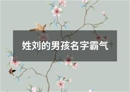 姓刘的男孩名字霸气