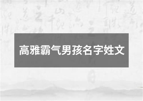 高雅霸气男孩名字姓文