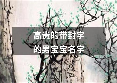 高贵的带封字的男宝宝名字