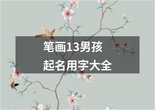 笔画13男孩起名用字大全