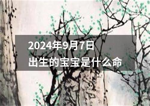 2024年9月7日出生的宝宝是什么命