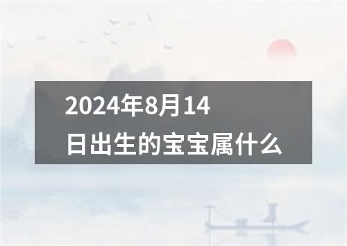 2024年8月14日出生的宝宝属什么