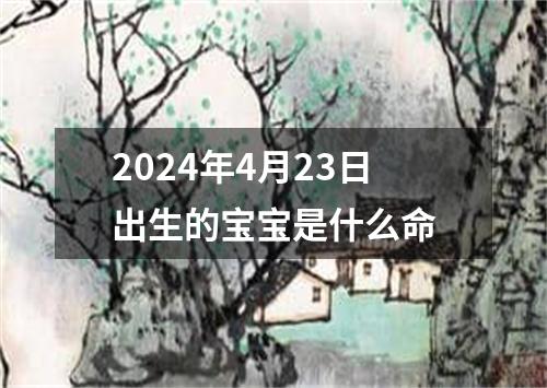 2024年4月23日出生的宝宝是什么命