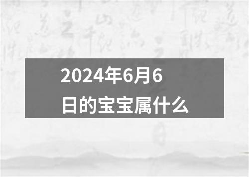 2024年6月6日的宝宝属什么