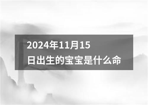 2024年11月15日出生的宝宝是什么命