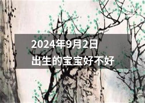 2024年9月2日出生的宝宝好不好