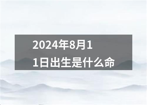 2024年8月11日出生是什么命