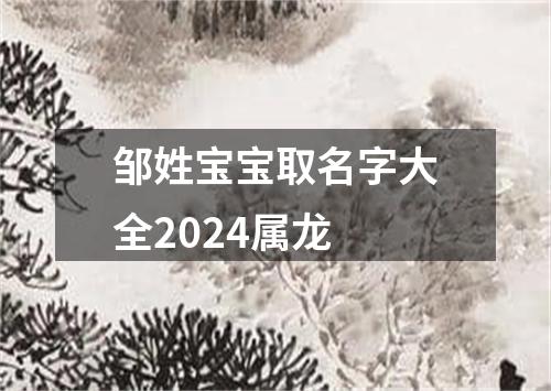 邹姓宝宝取名字大全2024属龙