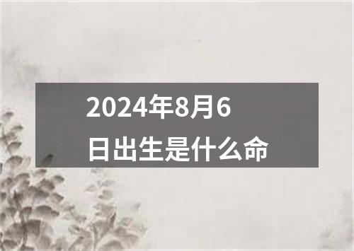 2024年8月6日出生是什么命