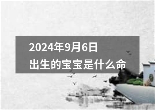 2024年9月6日出生的宝宝是什么命