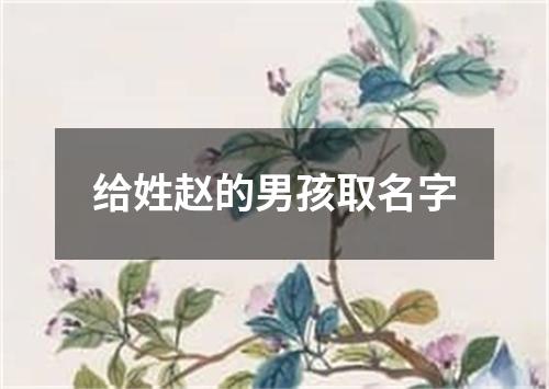 给姓赵的男孩取名字