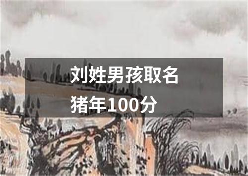 刘姓男孩取名猪年100分