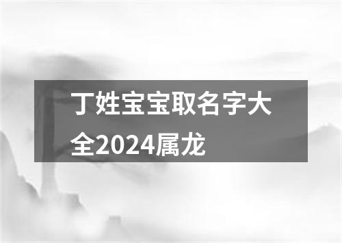 丁姓宝宝取名字大全2024属龙