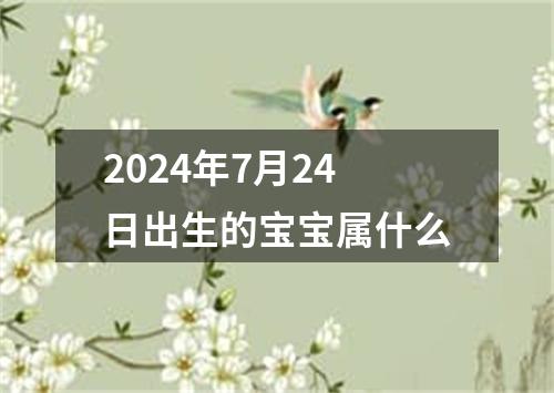 2024年7月24日出生的宝宝属什么