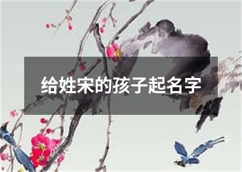 给姓宋的孩子起名字