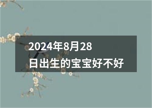 2024年8月28日出生的宝宝好不好