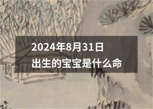 2024年8月31日出生的宝宝是什么命