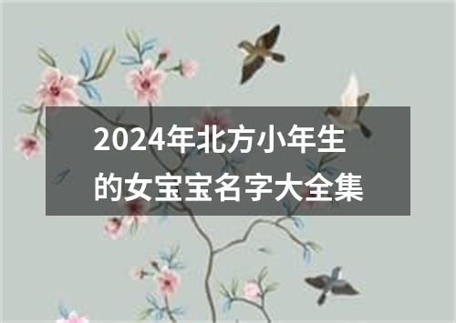 2024年北方小年生的女宝宝名字大全集