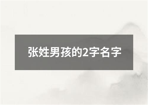 张姓男孩的2字名字