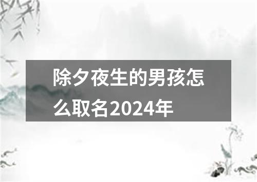 除夕夜生的男孩怎么取名2024年