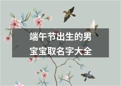 端午节出生的男宝宝取名字大全