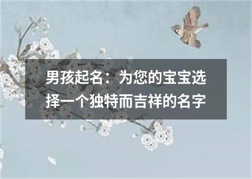 男孩起名：为您的宝宝选择一个独特而吉祥的名字