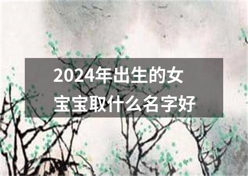 2024年出生的女宝宝取什么名字好