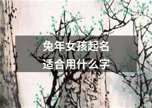 兔年女孩起名适合用什么字