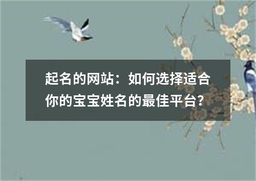 起名的网站：如何选择适合你的宝宝姓名的最佳平台？