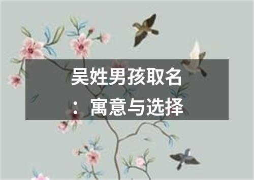 吴姓男孩取名：寓意与选择