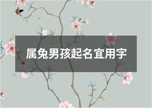 属兔男孩起名宜用字