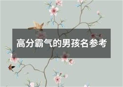 高分霸气的男孩名参考