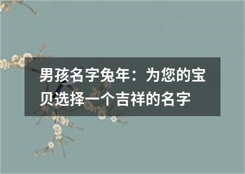 男孩名字兔年：为您的宝贝选择一个吉祥的名字