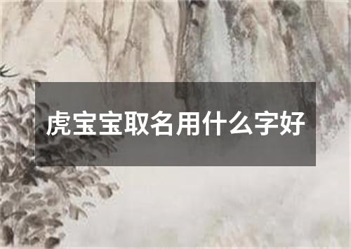 虎宝宝取名用什么字好