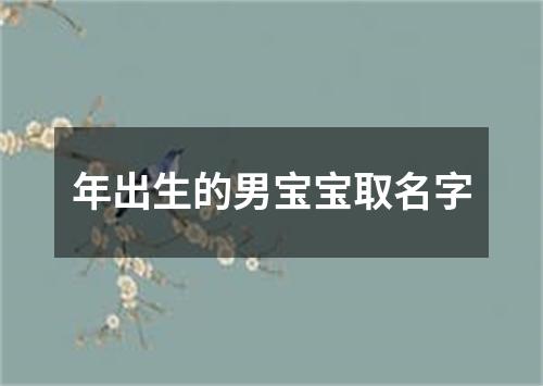 年出生的男宝宝取名字