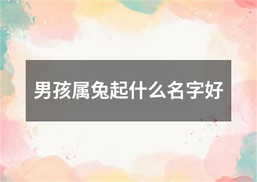 男孩属兔起什么名字好