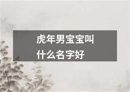 虎年男宝宝叫什么名字好