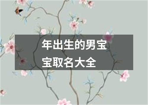 年出生的男宝宝取名大全