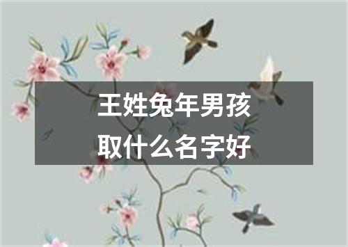 王姓兔年男孩取什么名字好